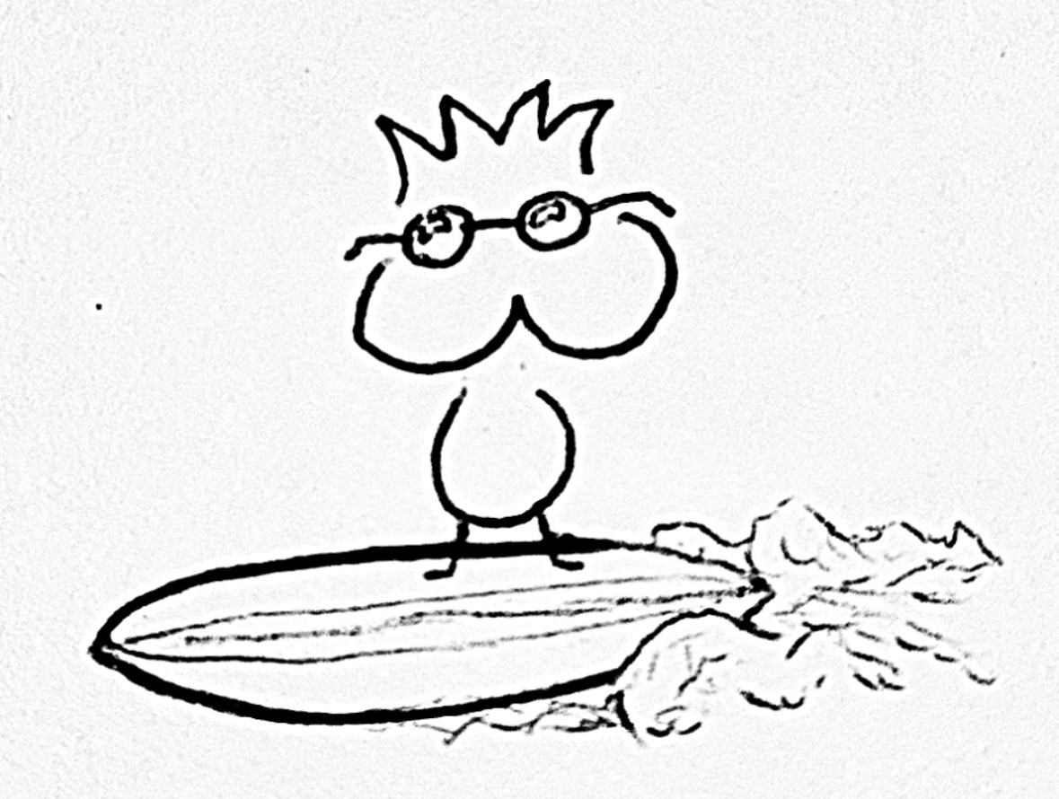 Surfer SZB